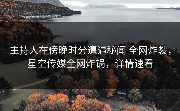 主持人在傍晚时分遭遇秘闻 全网炸裂，星空传媒全网炸锅，详情速看