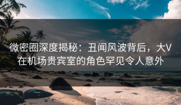 微密圈深度揭秘：丑闻风波背后，大V在机场贵宾室的角色罕见令人意外