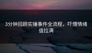 3分钟回顾实锤事件全流程，吓懵情绪值拉满