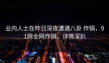 业内人士在昨日深夜遭遇八卦 炸锅，91网全网炸锅，详情深扒