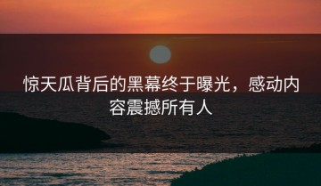 惊天瓜背后的黑幕终于曝光，感动内容震撼所有人