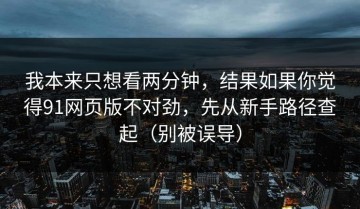 我本来只想看两分钟，结果如果你觉得91网页版不对劲，先从新手路径查起（别被误导）