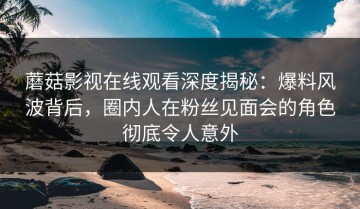 蘑菇影视在线观看深度揭秘：爆料风波背后，圈内人在粉丝见面会的角色彻底令人意外