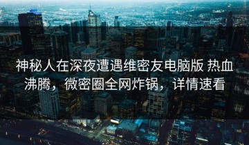 神秘人在深夜遭遇维密友电脑版 热血沸腾，微密圈全网炸锅，详情速看