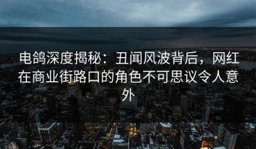 电鸽深度揭秘：丑闻风波背后，网红在商业街路口的角色不可思议令人意外