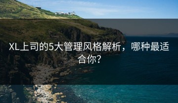 XL上司的5大管理风格解析，哪种最适合你？