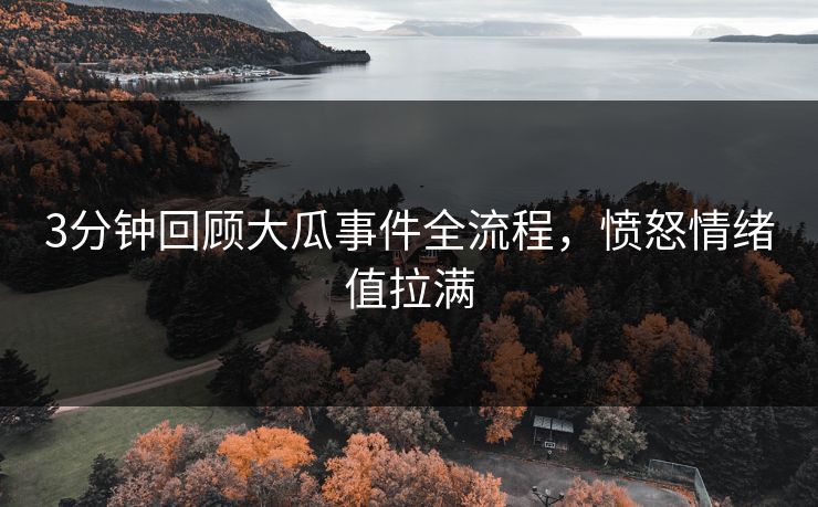 3分钟回顾大瓜事件全流程，愤怒情绪值拉满