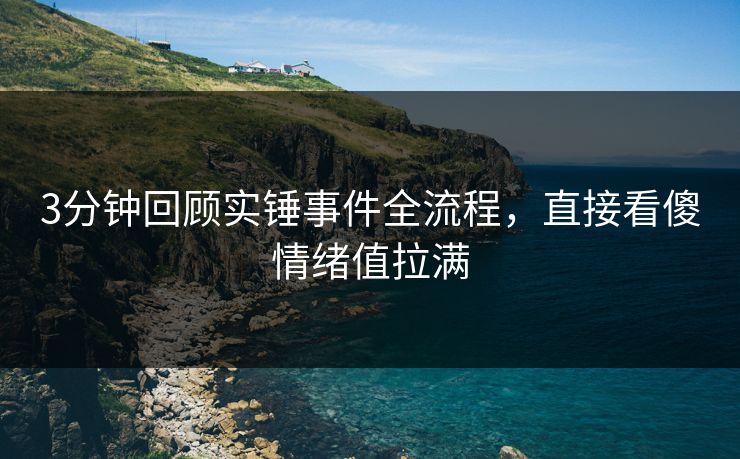 3分钟回顾实锤事件全流程，直接看傻情绪值拉满